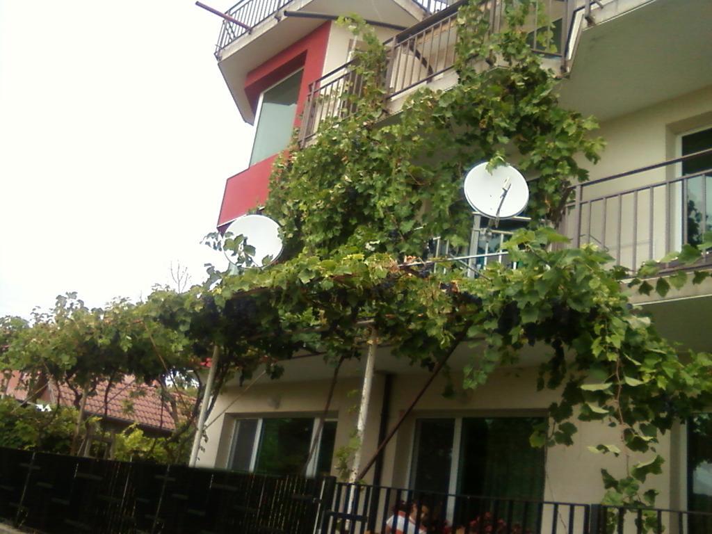 Villa Sunny Hill Fish Fish Esterno foto